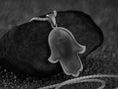 Bild in Galerie-Betrachter laden, Hamsa Hand Pendant