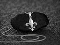 Bild in Galerie-Betrachter laden, Fleur-de-Lis Pendant • Royal Heraldic Necklace • Medieval Purity Symbol • French Gothic Amulet