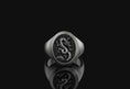 Bild in Galerie-Betrachter laden, Serpent Dragon Signet