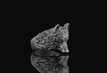 Bild in Galerie-Betrachter laden, Wolf Ring
