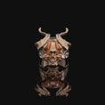 Bild in Galerie-Betrachter laden, Demon Skull Ring with