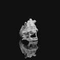 Bild in Galerie-Betrachter laden, Silver Skull Ring, Unique