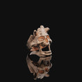 Bild in Galerie-Betrachter laden, Silver Skull Ring, Unique