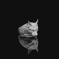 Bild in Galerie-Betrachter laden, Lynx Silver Ring,