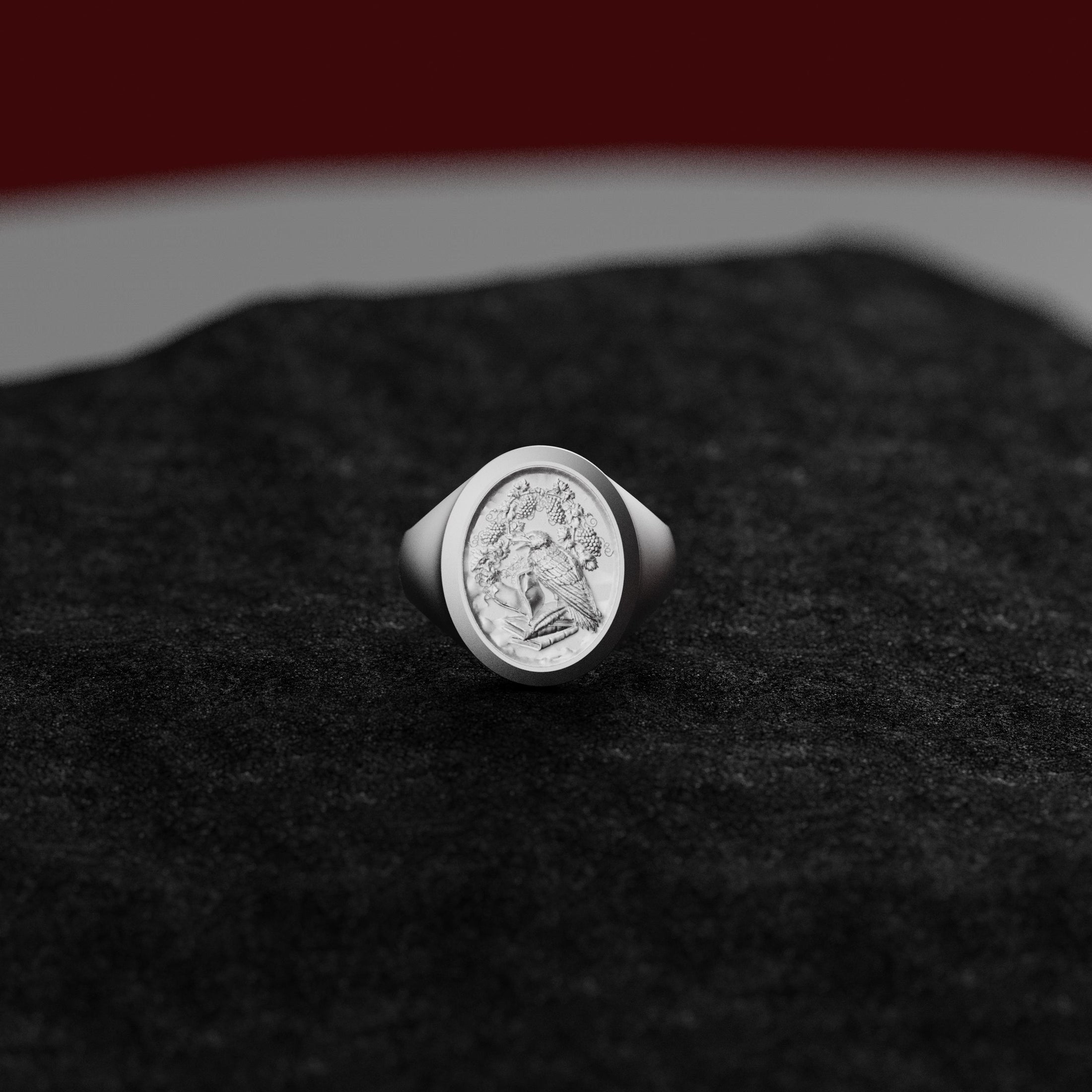 Huginn and Muninn Raven of Odin Signet Ring in Oxidized Silver, Norse Mythology Engraved Pinky Ring For Men, Viking Ring