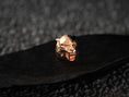 Load image into Gallery viewer, Front view of rose gold-plated werewolf ring variant.
