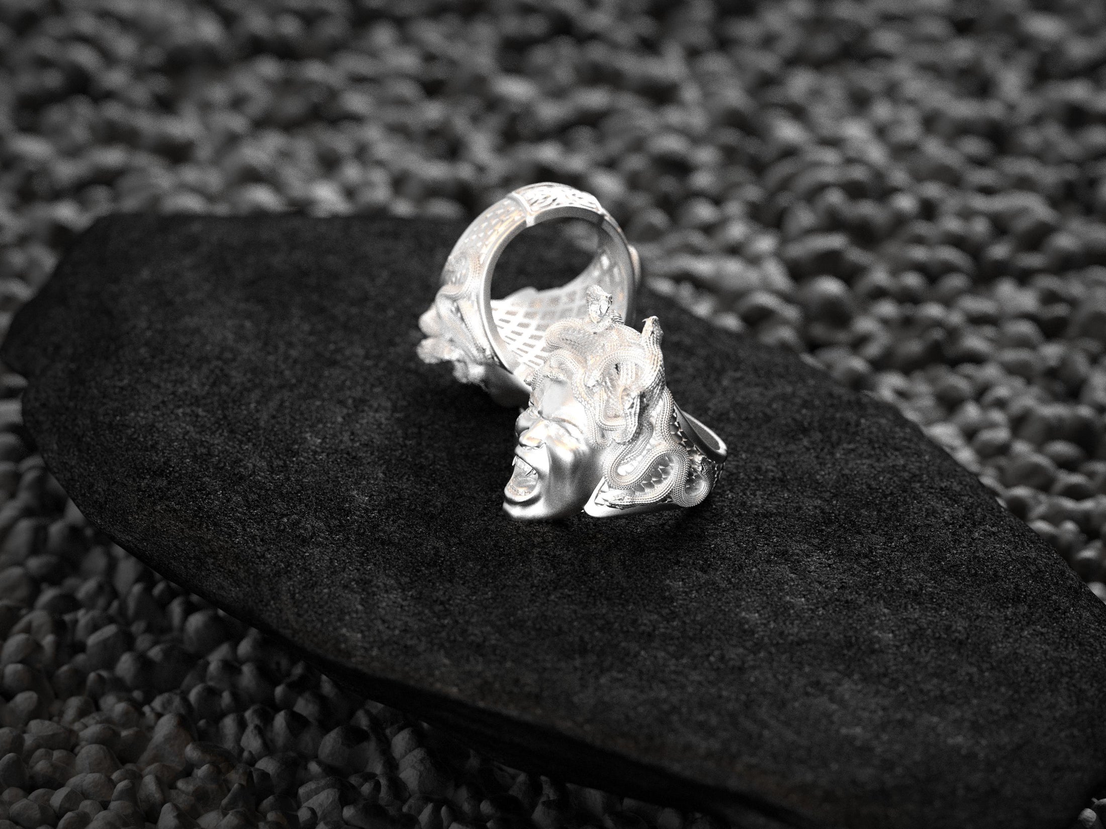 Side view of silver ring band with coiled snake motif.