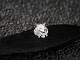 Rhodium plated Wolf Skull Ring with oxidized warrior finish