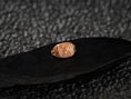 Bild in Galerie-Betrachter laden, Rose gold plated In Hoc Signo Ring with symbolic elements
