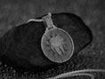 Load image into Gallery viewer, Lion Pendant
