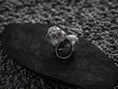 Load image into Gallery viewer, Side profile of silver ring highlighting fur and teeth texture.
