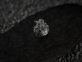 Load image into Gallery viewer, Close-up of the sterling silver Dragon Wyrm Scales ring perched on a smooth black stone.
