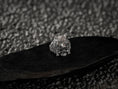 Bild in Galerie-Betrachter laden, Close-up of detailed wolf fur texture and braided cords on skull ring
