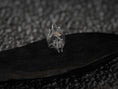 Load image into Gallery viewer, Lich Skull Wizard Ring – Gothic Fantasy DnD Jewelry for Dark Mage, Undead Sorcerer Ring in Sterling Silver
