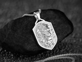 Lion Pendant