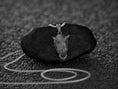Load image into Gallery viewer, Rhino Charm
