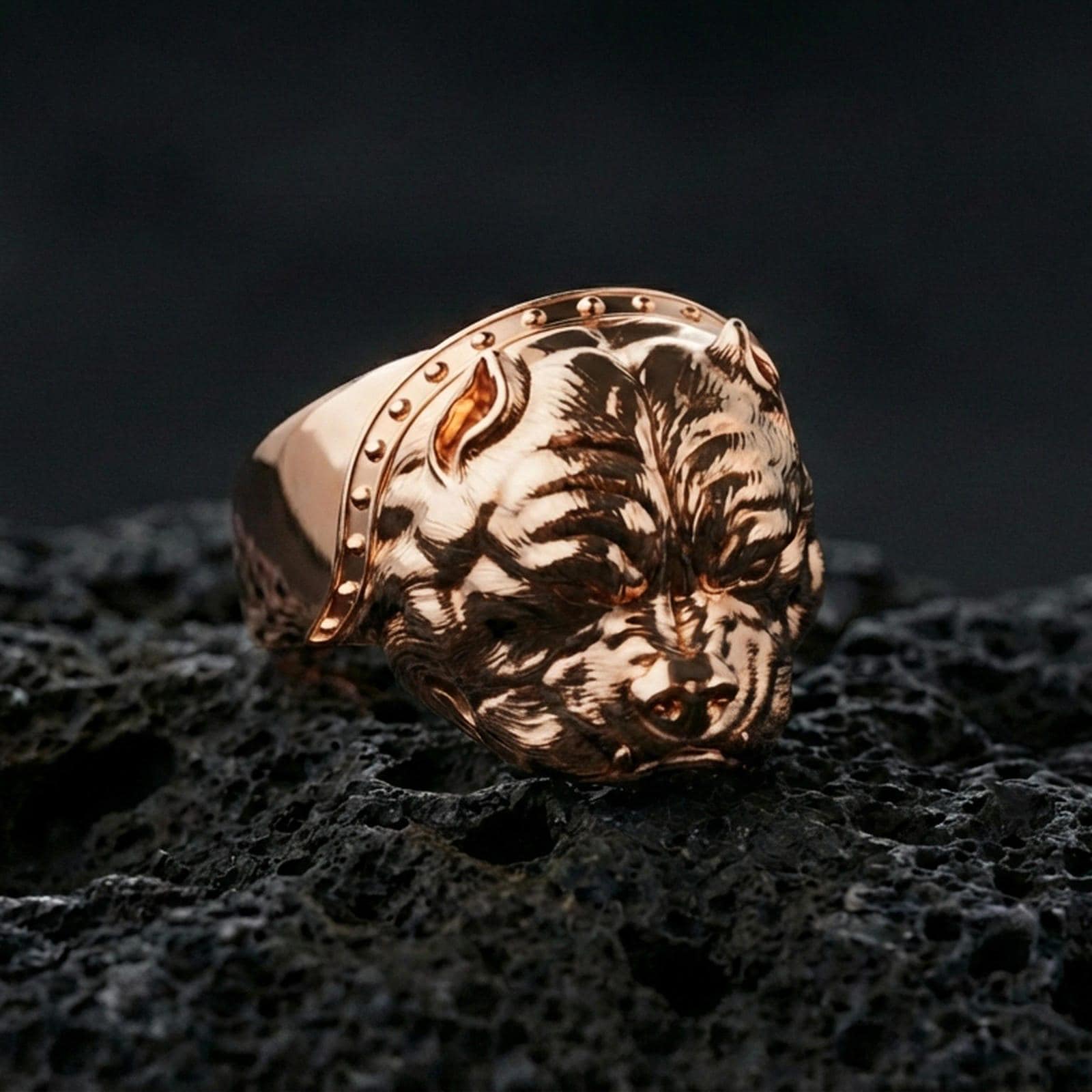 Rose gold plated bulldog ring on volcanic rock, sharp macro product photo showcasing the detailed dog head relief and collar rivet accents