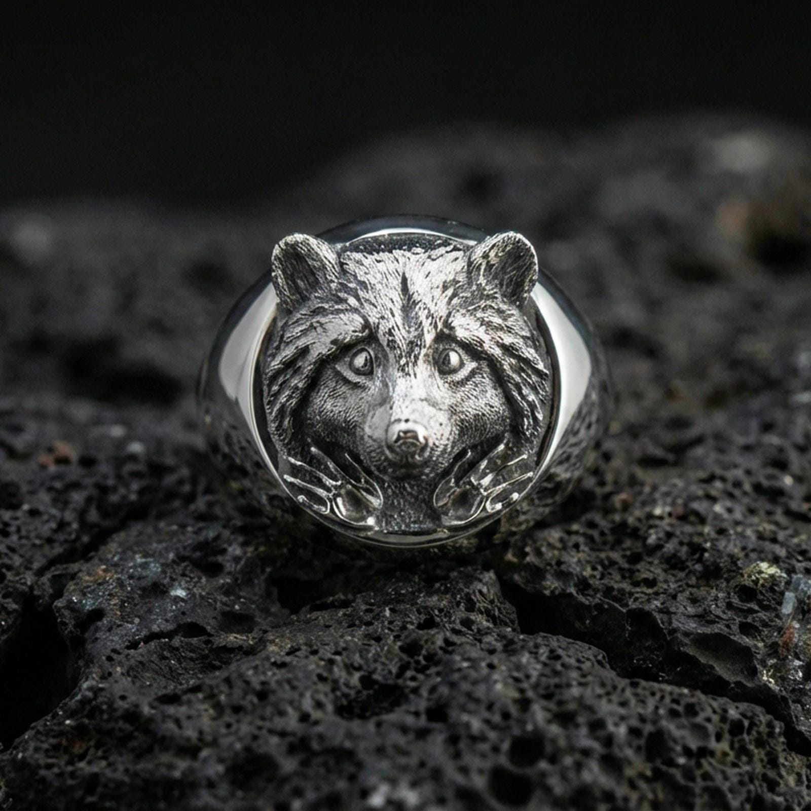 Polished silver raccoon signet ring on volcanic rock, crisp facial features and smooth round bezel edge, close-up lighting