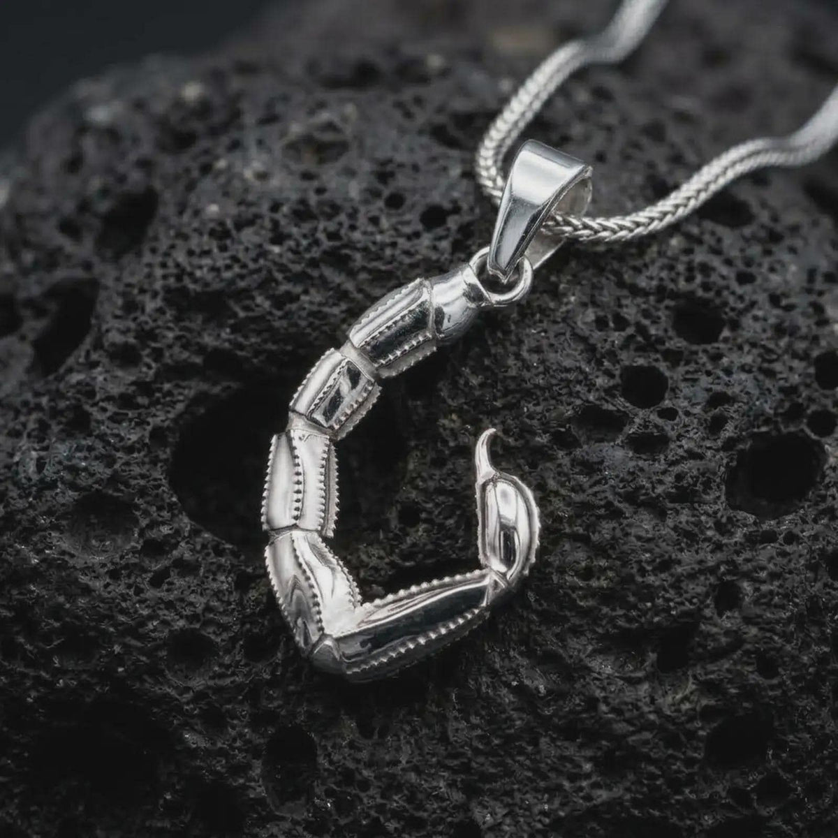 The polished silver scorpion tail necklace is displayed on textured black volcanic rock, highlighting the sculptural segmented body, pointed stinger, dimensional construction, and sleek sterling silver finish in a premium macro photograph.