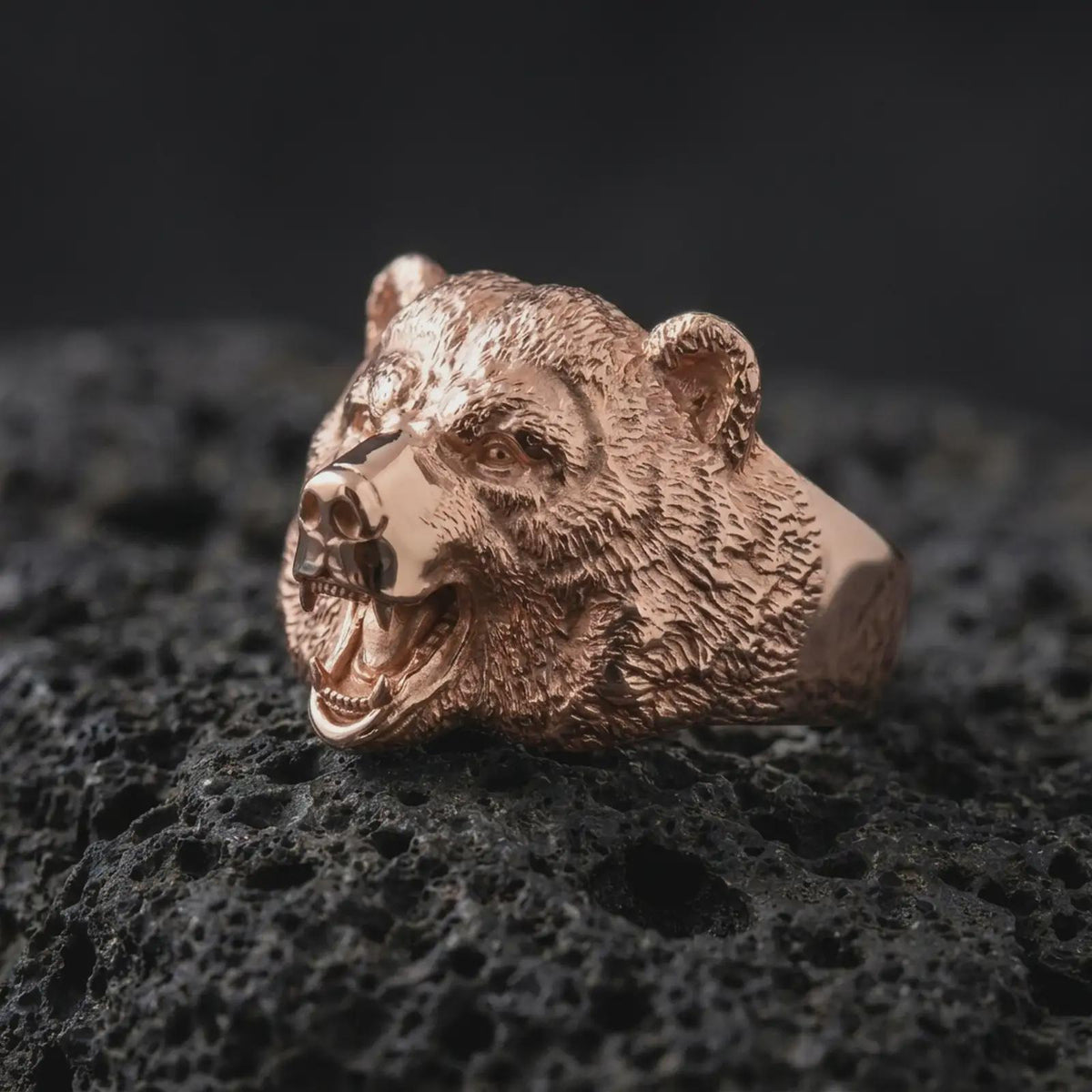 Rose gold plated 925 sterling silver bear head statement ring resting on black volcanic stone, highlighting the realistic bear sculpture, exposed fangs, detailed muzzle, raised fur textures, powerful facial expression, and warm rose gold plated finish.