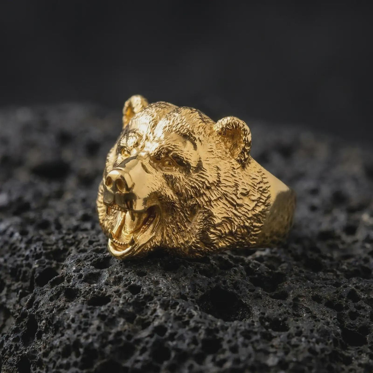 Gold plated 925 sterling silver roaring bear ring displayed on textured black volcanic rock, featuring a highly detailed three-dimensional bear head, aggressive open-mouthed expression, sharp teeth, textured fur, and warm gold plated finish.
