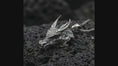 Load and play video in Gallery viewer, Dragon head pendant necklace on volcanic stone background Detailed dragon head jewelry with sculpted horns and scales Mythical dragon talisman pendant high detail macro shot
