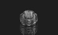 Load and play video in Gallery viewer, Pharaoh Ring
