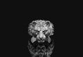 Load image into Gallery viewer, Lioness Ring

