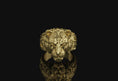Bild in Galerie-Betrachter laden, Lioness Ring
