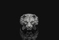 Load image into Gallery viewer, Lioness Ring
