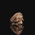 Bild in Galerie-Betrachter laden, Gothic Laurel Wreath
