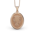 Load image into Gallery viewer, Gold Lioness Pendant
